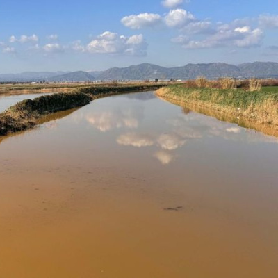Menderes Nehri taştı