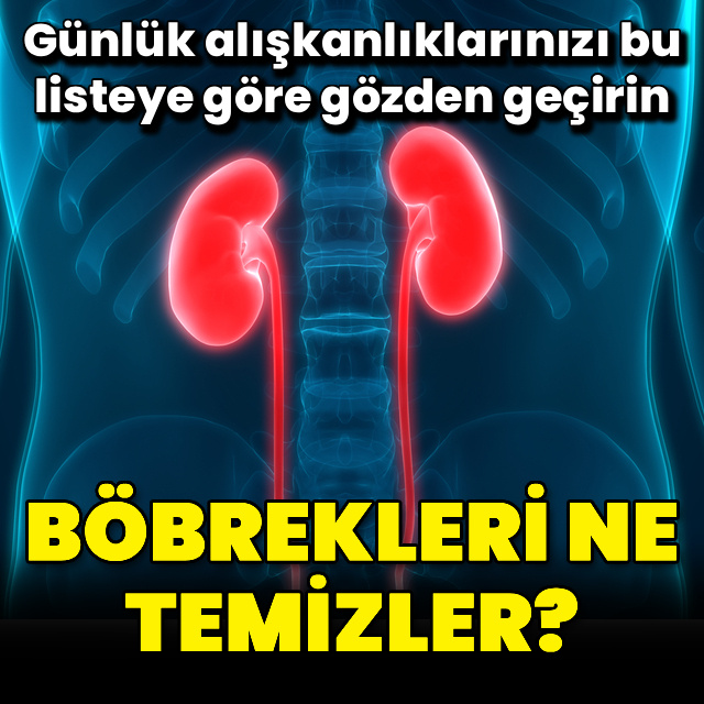 Böbrekleri ne temizler?