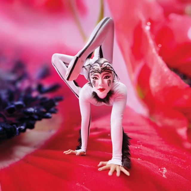 Cirque du Soleil 'OVO' ile İstanbul'a geliyor