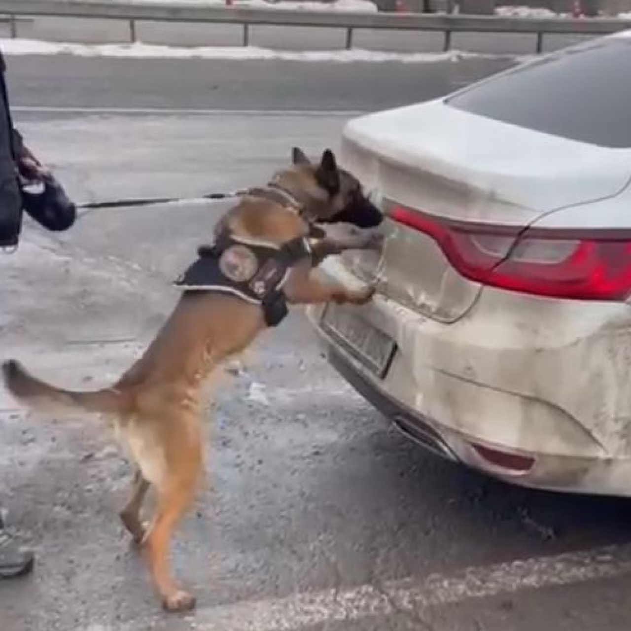 Otomobilin bagajından 34 kilo uyuşturucu çıktı