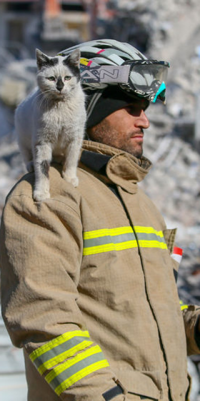 Bu kareyle duygulandırmıştı! Dostluğunu kitaplaştırdı