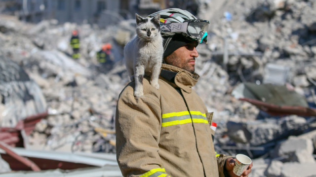 Bu kareyle duygulandırmıştı! Dostluğunu kitaplaştırdı