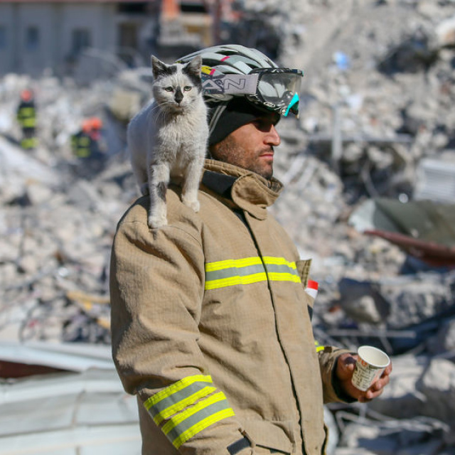 Bu kareyle duygulandırmıştı! Dostluğunu kitaplaştırdı