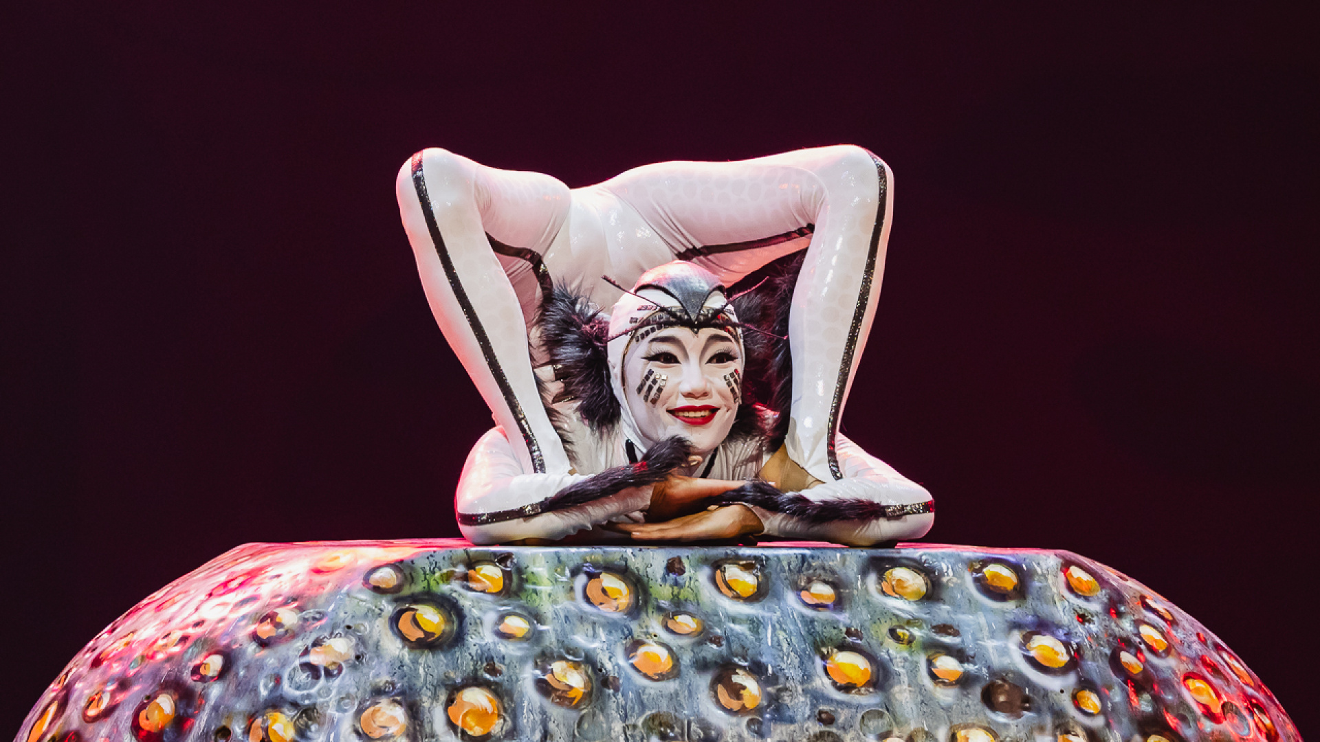 Cirque du Soleil'in Büyülü Gösterisi OVO, İstanbul'da Sahnelenecek