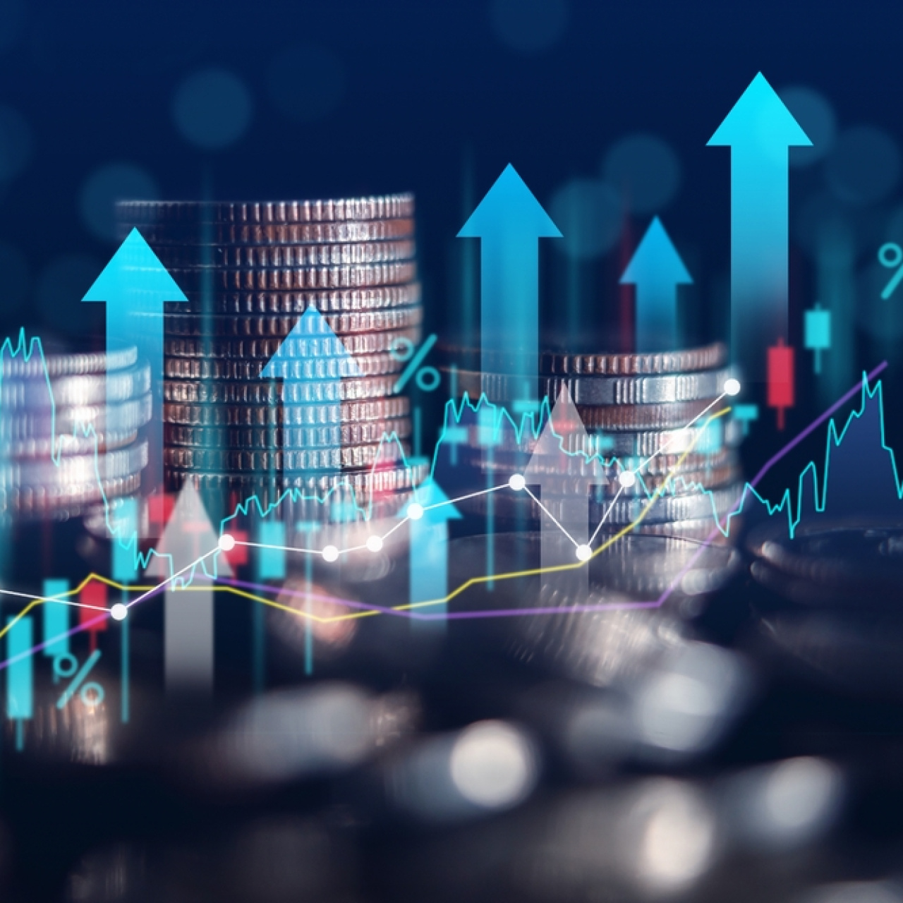 Ata Turizm halka arz oluyor