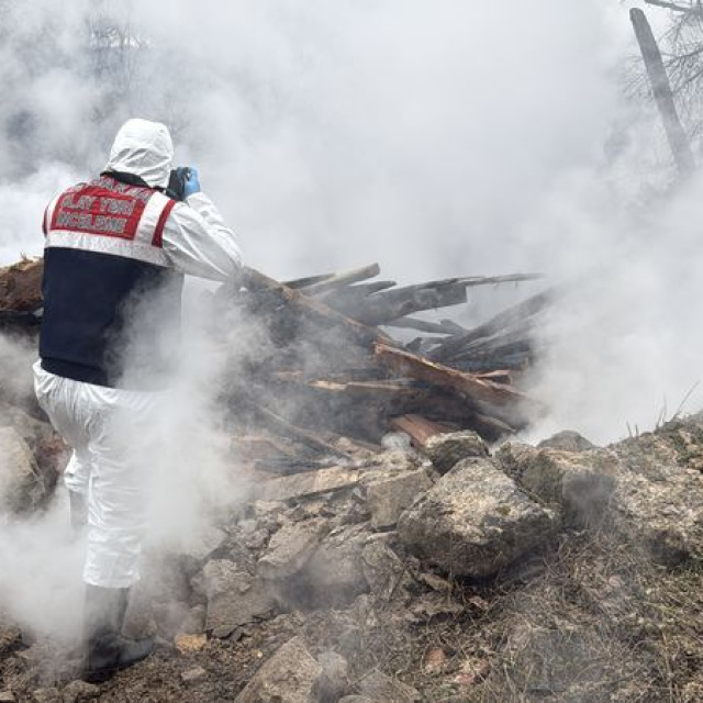 Karabük'te ahır yangını: 2 büyükbaş öldü