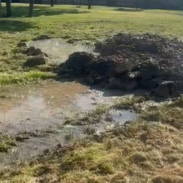 Parktaki faciada karar çıktı!