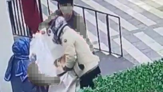 Hamile kediyi çuvala koydular!