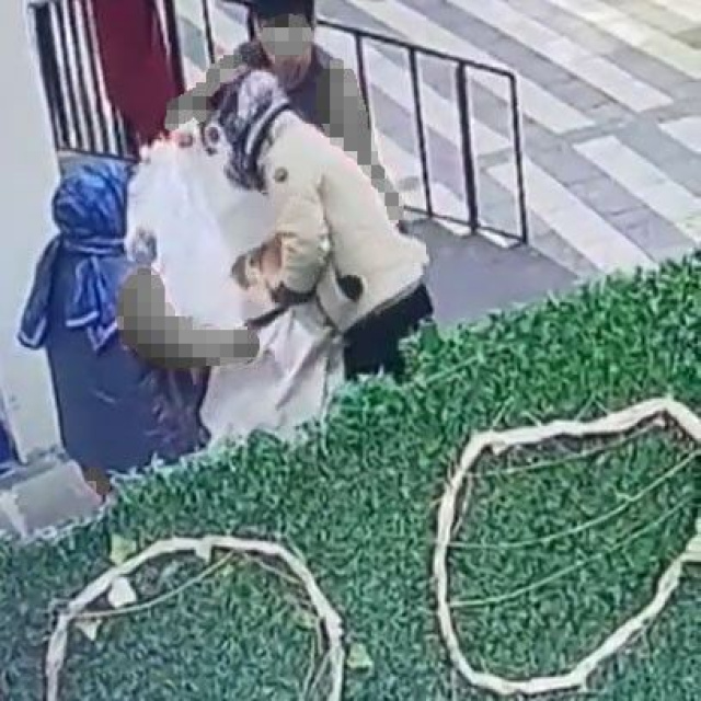 Hamile kediyi çuvala koydular!