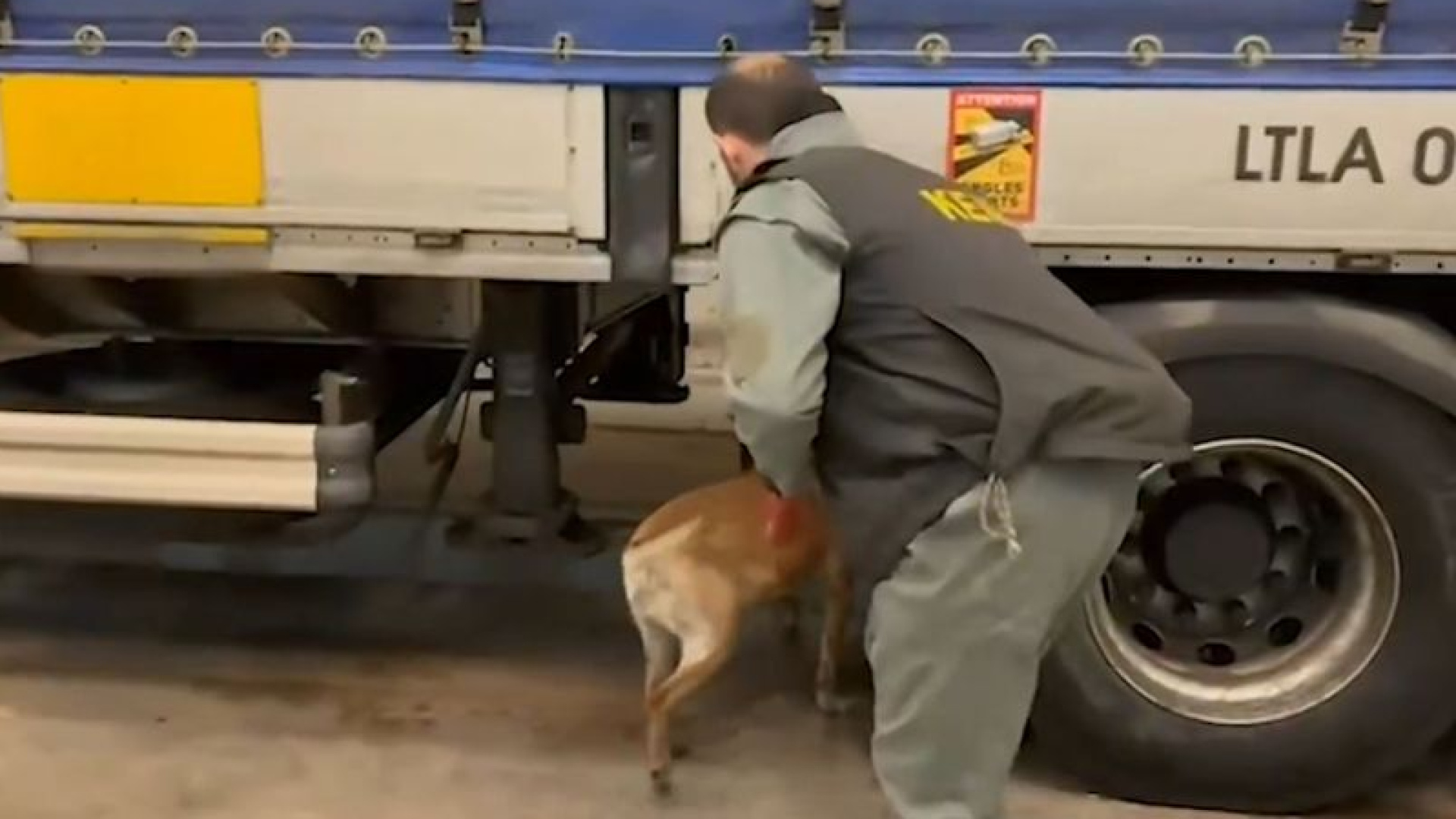 Edirne'de TIR'da 240 Kilogram Skunk Uyuşturucu Ele Geçirildi, 1 Şüpheli Yakalandı