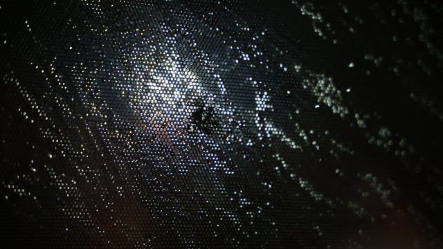 Trabzonspor takım otobüsüne taşlı saldırı!