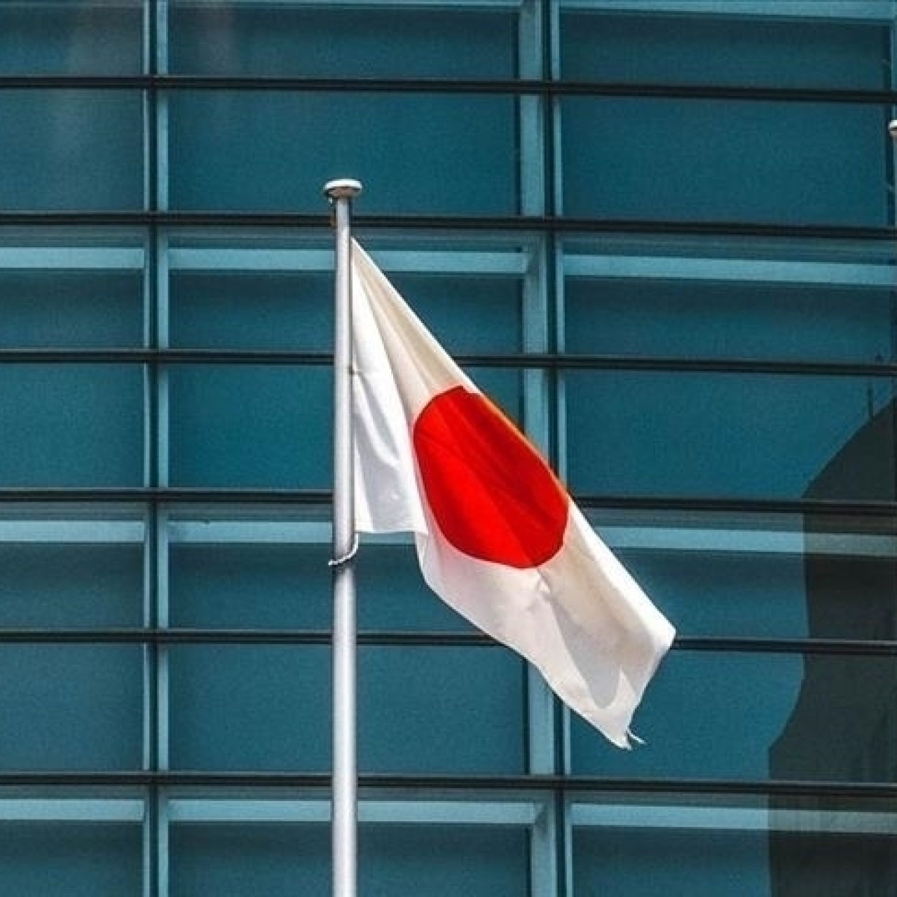 Japonya, erken genel seçim için sandık başına gitti