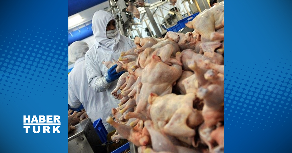 Tavuk İhracatını Durdurma kararı ve Stratejik Önem