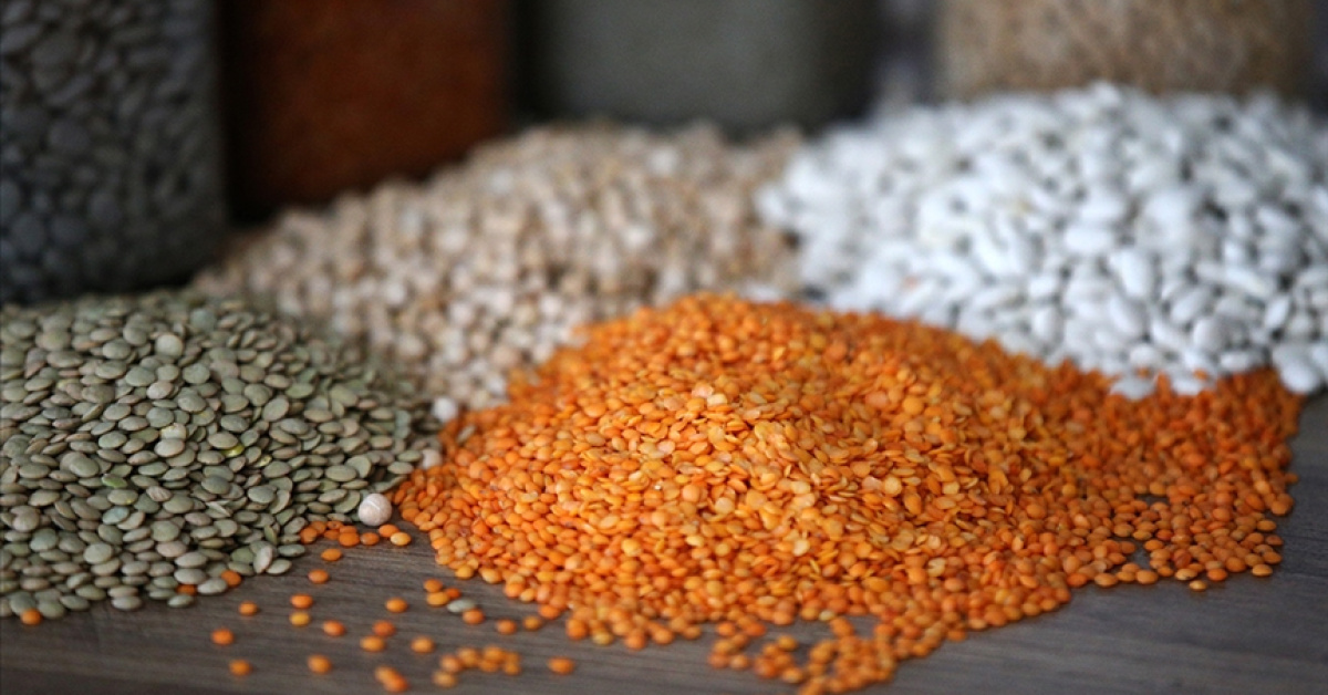 Tarkan'ın Engellilere Özel Platformu: İlk Konser Deneyimi