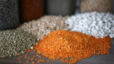 Hububat ihracatı ocakta 1 milyar dolara yaklaştı