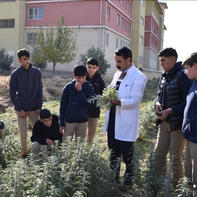 Üniversite öğrencilerinin uygulamalı eğitimi en az 1 dönem olacak