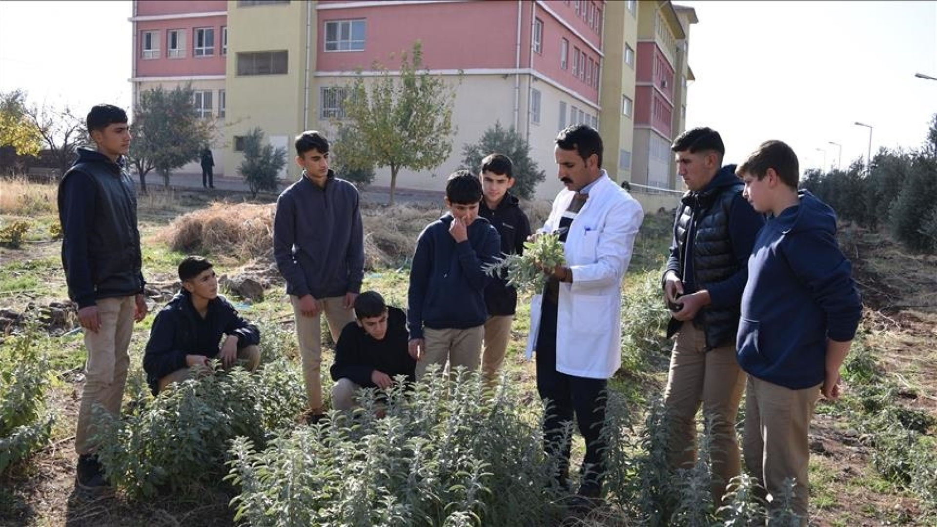 Üniversitelerde Uygulamalı Eğitim Süresi En Az Bir Dönem Olarak Belirlendi