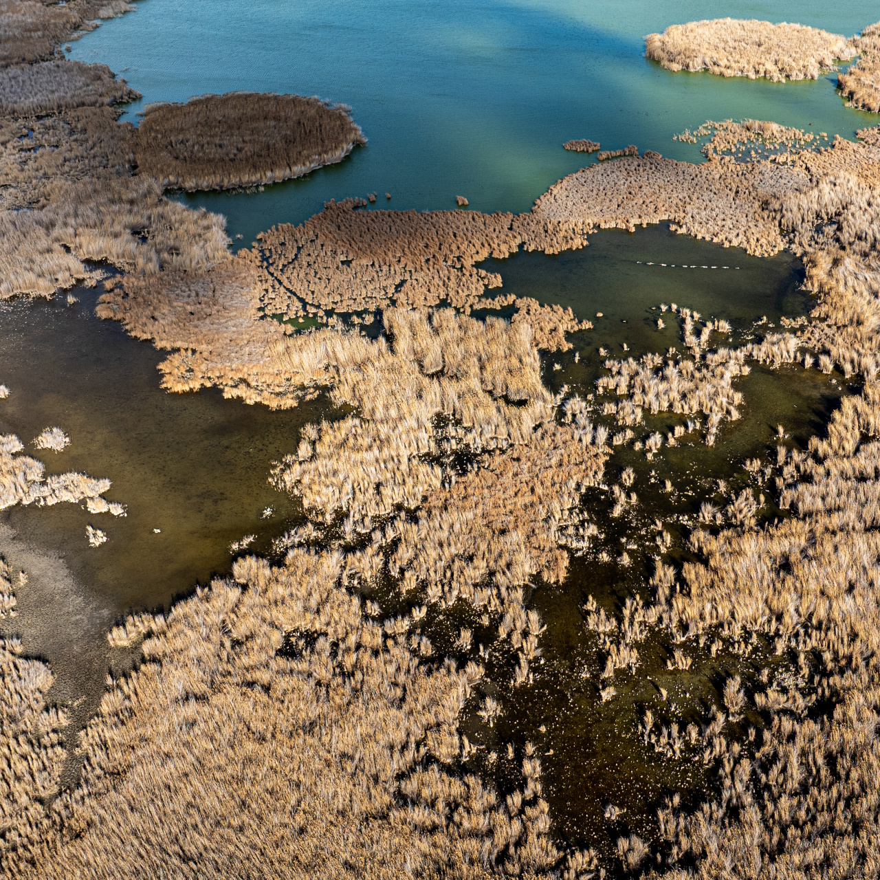 "Kuraklık kronikleşiyor"