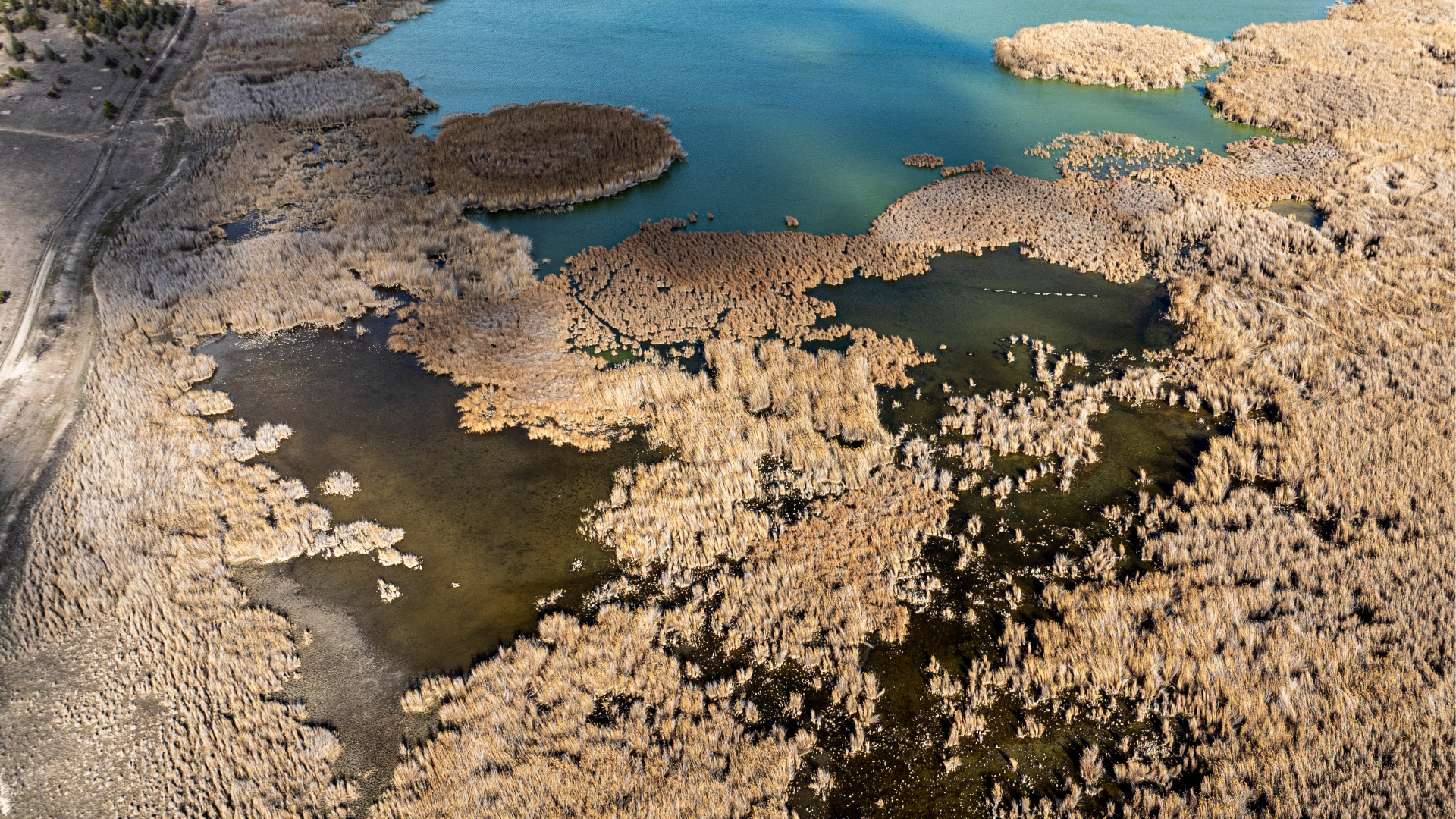Son dakika: Prof. Dr. Mikdat Kadıoğlu'ndan "kuraklık kronikleşiyor" uyarısı | Son dakika haberleri