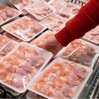 Kanatlı eti ihracatına sınırlama