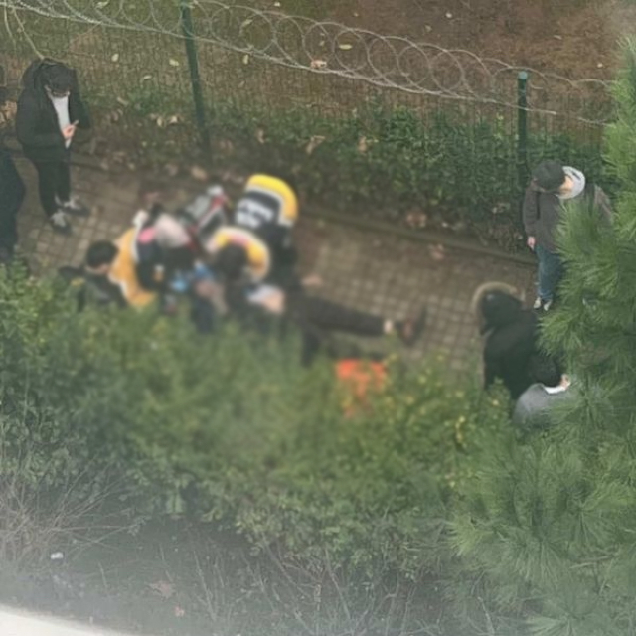 Site bahçesinde cinayet! Husumetlisini silahla vurdu