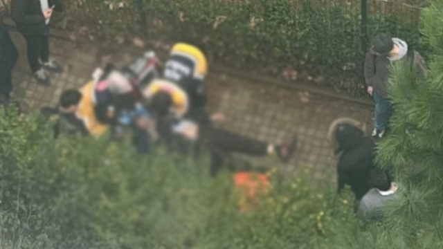 Site bahçesinde cinayet! Husumetlisini silahla vurdu