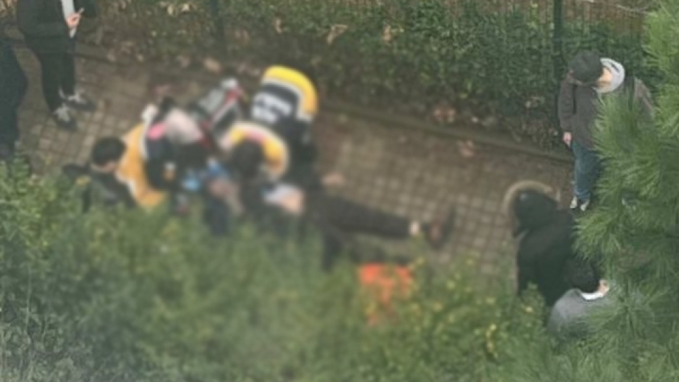 Site bahçesinde cinayet! Husumetlisini silahla vurdu