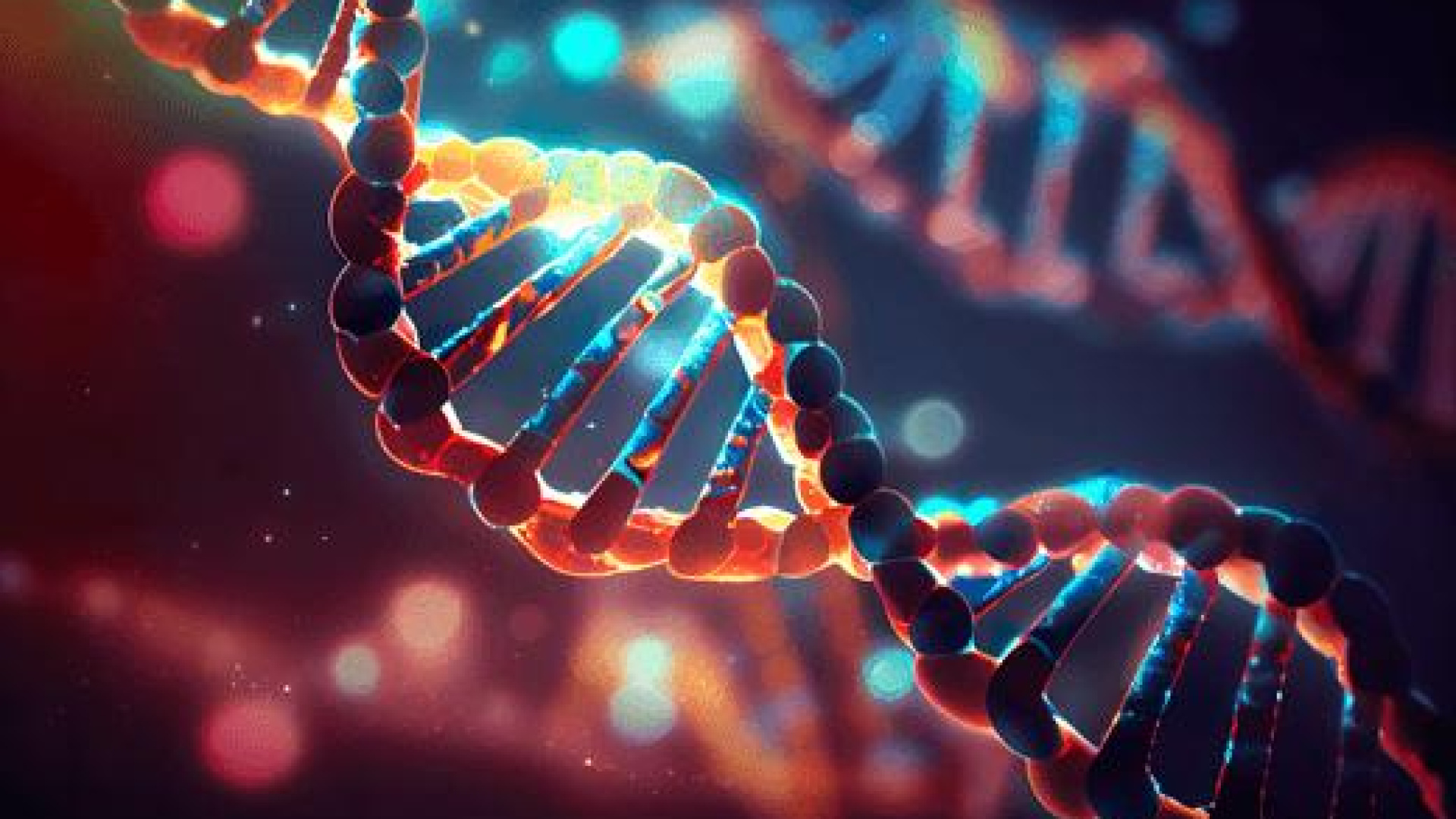 Tanısız Çocuk Kalmasın: Aranan umut tam 8.5 yıl sonra bulundu! Erdem ve 12 arkadaşı milyonlara öncülük edebilir | Sağlık Haberleri