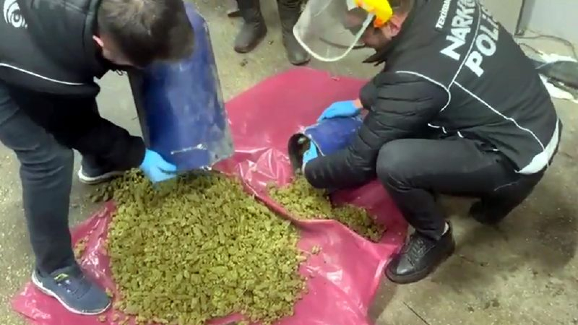 Bulgaristan plakalı otomobilde 24,5 kilo skunk ele geçirildi