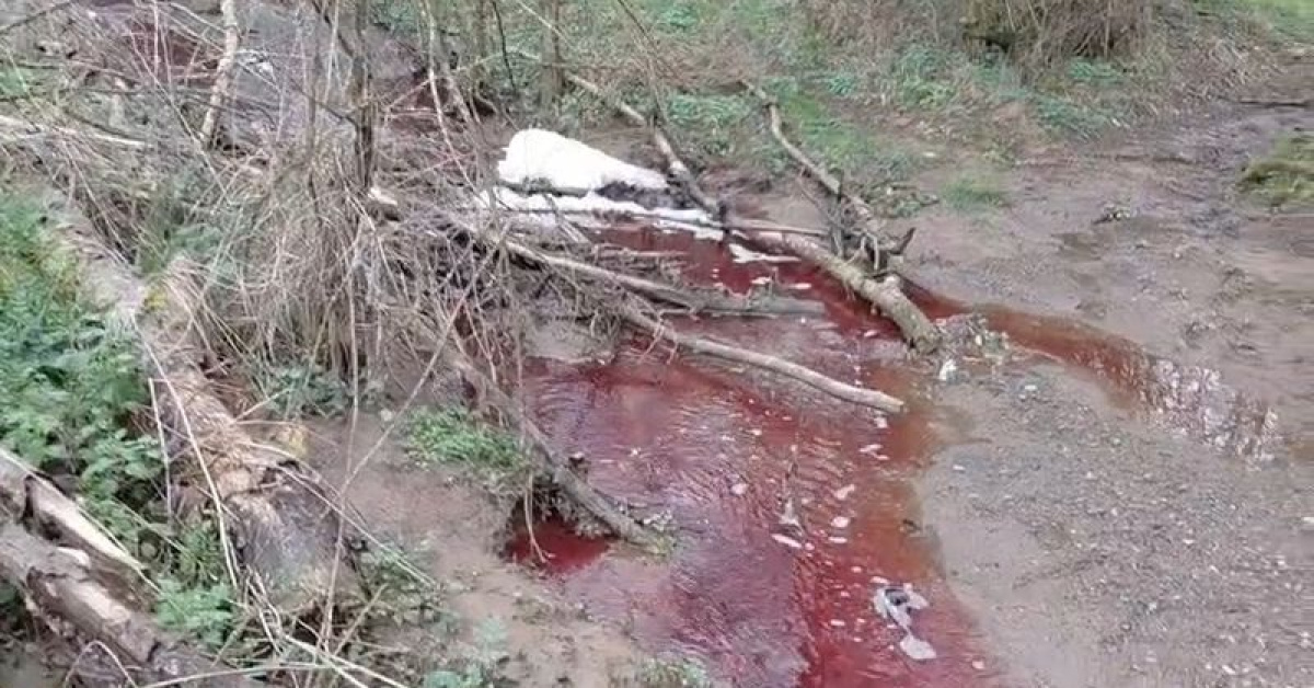 Pendik'te Ömerli Barajı'na Akışkan Su, İstanbul'un Suyu Ne Olacak?