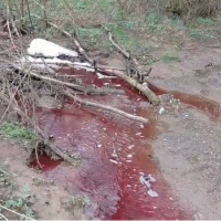 Baraj yakınında korkutan görüntü!