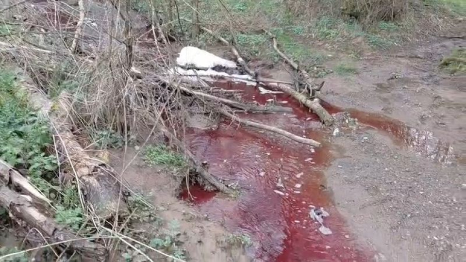 Baraj yakınında korkutan görüntü!