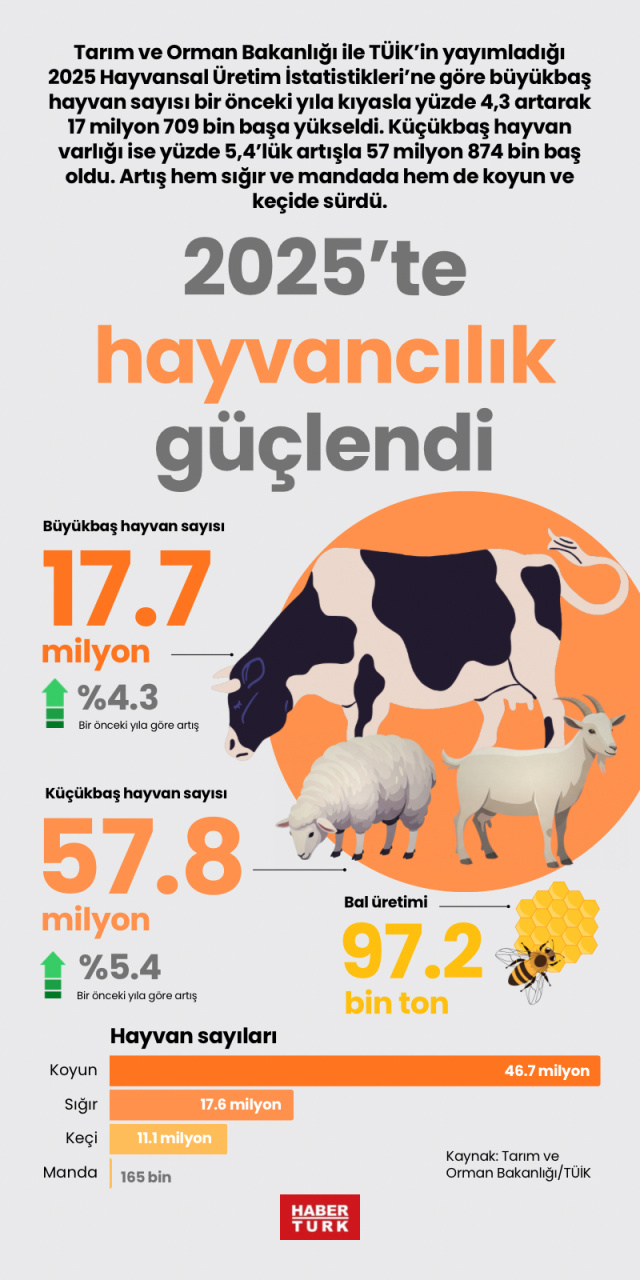 2025’te hayvancılık güçlendi