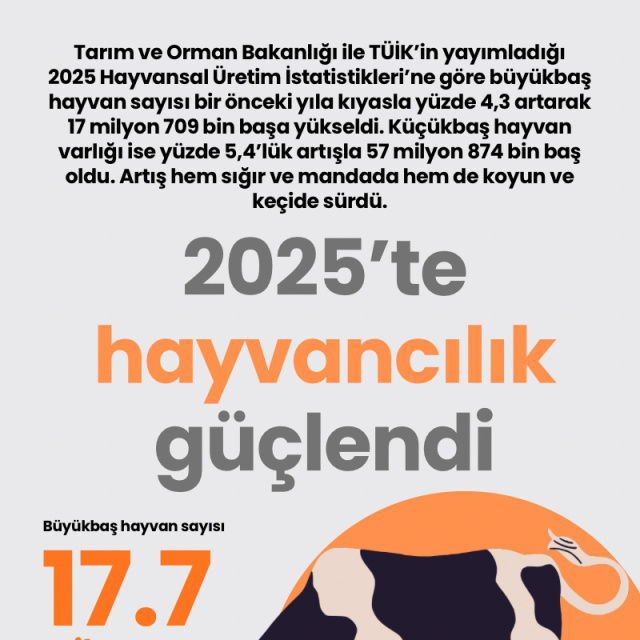 2025'te hayvancılık güçlendi
