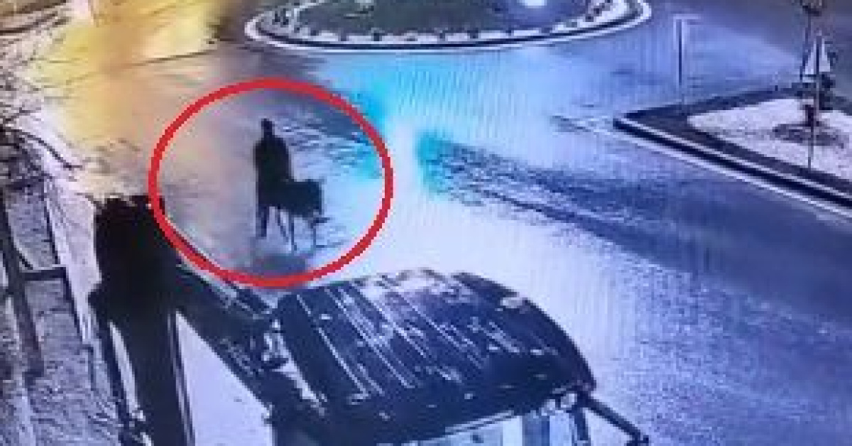 'Kuyumcuyu soyup eşekle kaçtı!' - Kayseri'deki hırsızlık olayının detayları