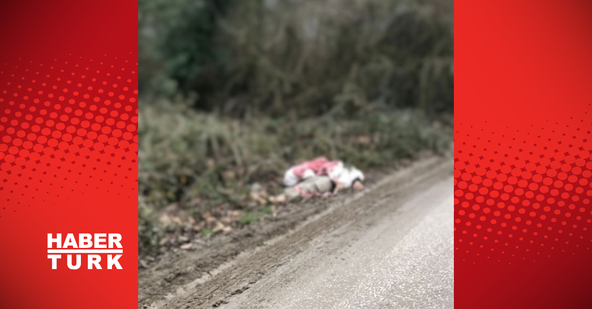 Göçmenlerden 1'i Soğuktan Ölüm