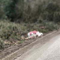 Köye bırakılan kaçak göçmenlerden biri soğuktan öldü!