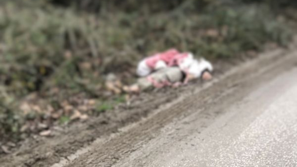 Köye bırakılan kaçak göçmenlerden biri soğuktan öldü!