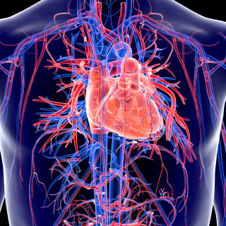 Kalp ameliyatı sonrası kişilik değişebilir