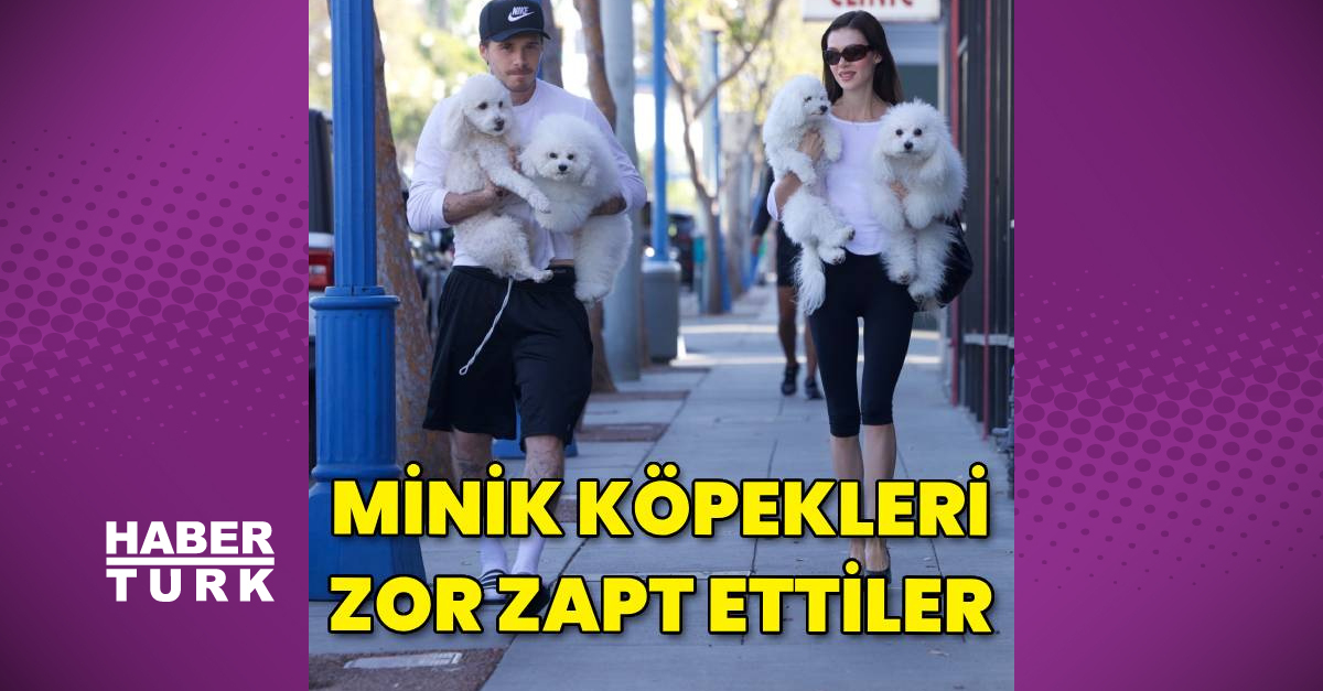 Brooklyn ve Nicola Köpeklere Bakma Gezi, Bebek Bekleyen Stratejik Önem