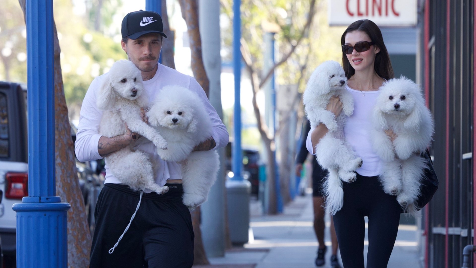 Brooklyn Beckham ve Nicola Peltz'in Köpek Bakımındaki Zorlu Anları