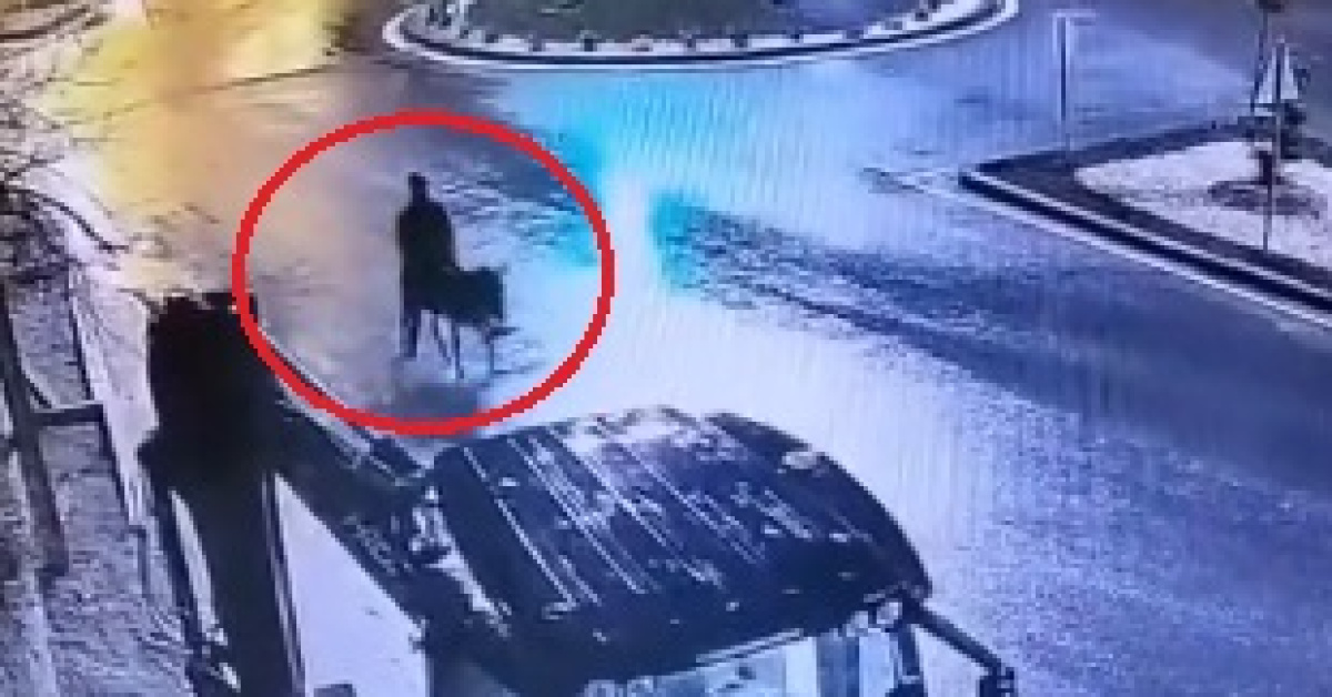 Kuyumcu Soygunu ve Gelecekteki Stratejik Önem