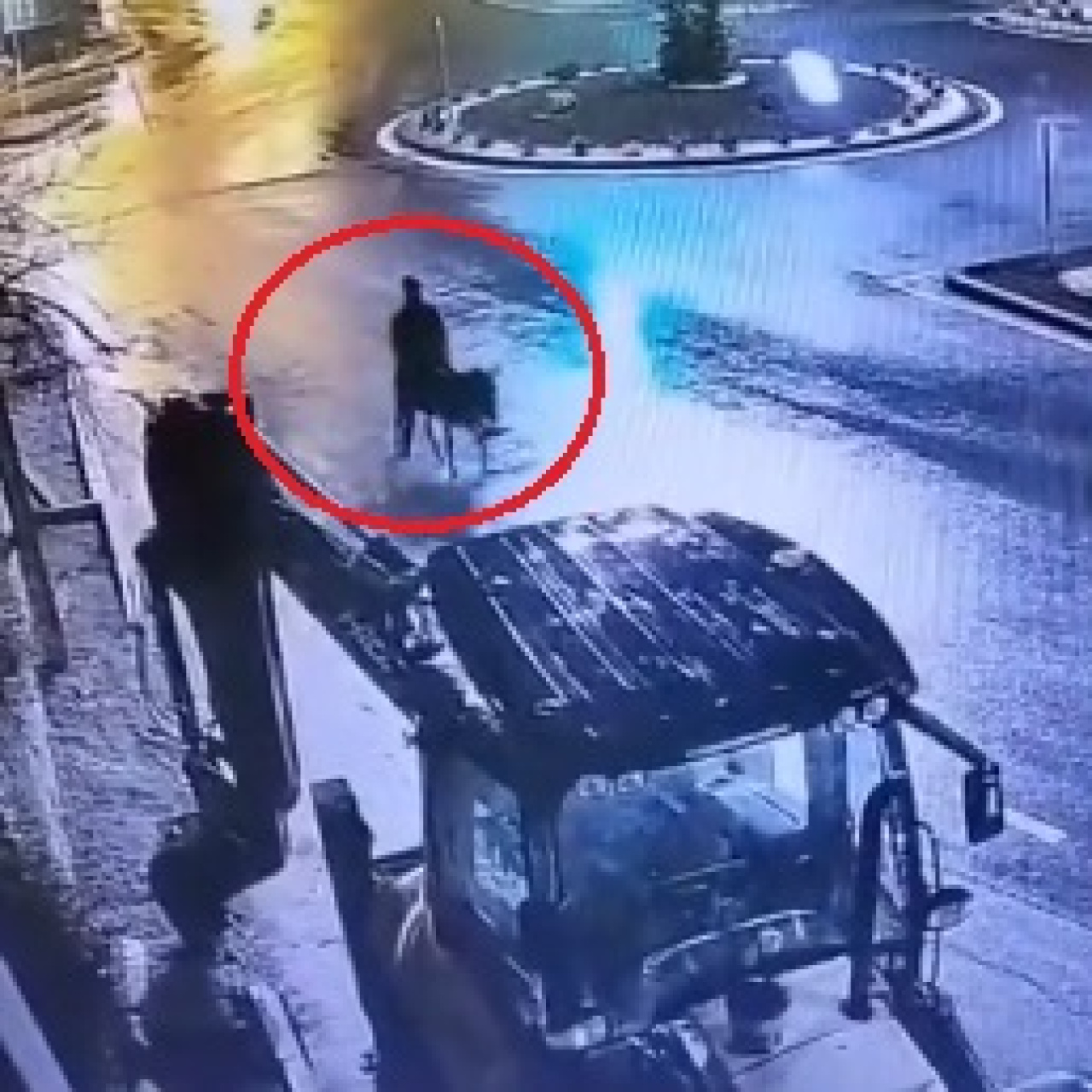 Eşekle kaçan hırsızın ifadesi ortaya çıktı!