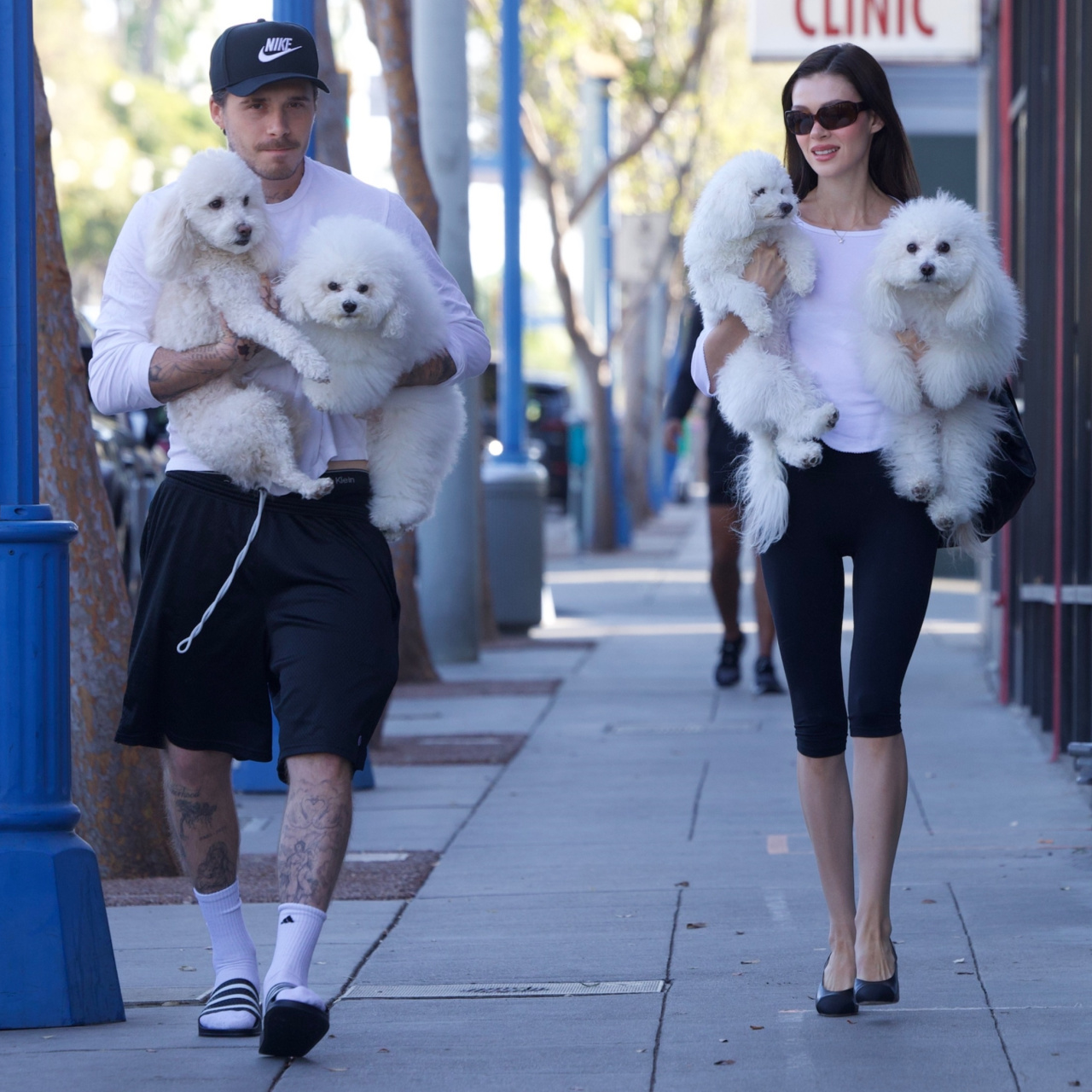 Yaramaz köpeklerini zor zapt ettiler