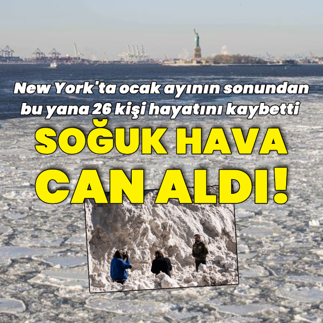 New York'ta soğuk hava can aldı