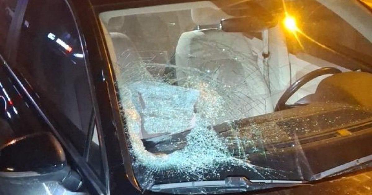 Yeniden Kazaya Karıştı Agresif Olarak Yaralandı