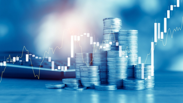 Empa Elektronik halka arz oluyor