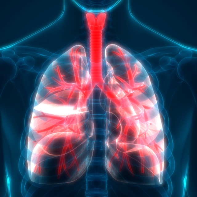 Bu belirtiler akciğer sönmesine işaret!