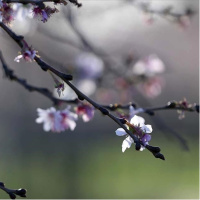 2026 Cemre düşme tarihleri