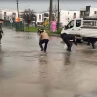 Asfalttan balık topladılar